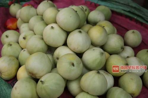 南宁吃瓜合集,吃瓜合集里的风味之旅