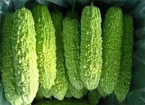 南宁吃瓜合集,吃瓜合集里的风味之旅