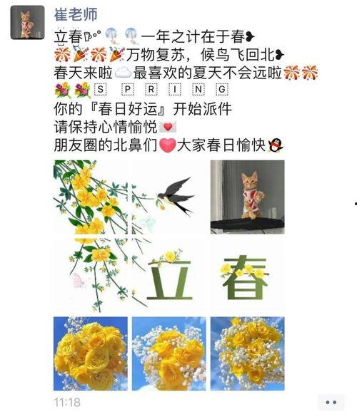 长篇吃瓜文完结,长篇吃瓜文大结局揭秘