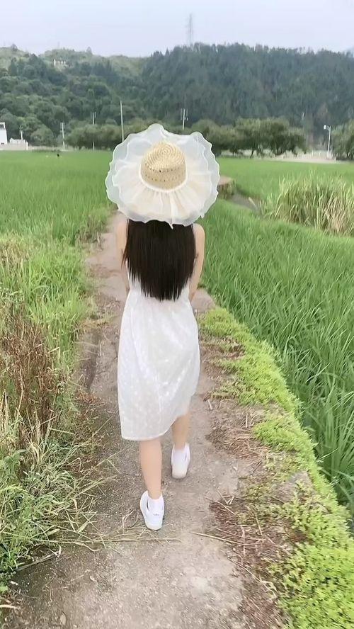 吃瓜很单纯,单纯背后的社会现象