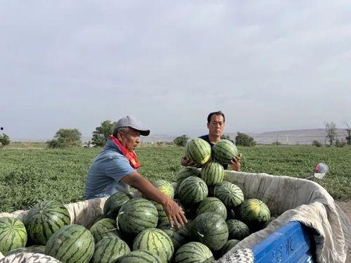 旧城以南吃瓜,探寻南城美食风情