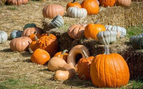 旧城以南吃瓜,探寻南城美食风情