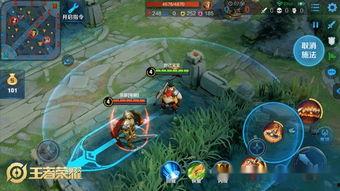 峡谷吃瓜群众稀有度,揭秘稀有度爆表的吃瓜群众传奇