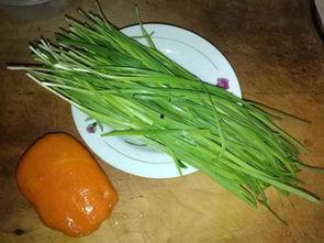 韭菜能和云南小瓜一起吃,美味养生两不误