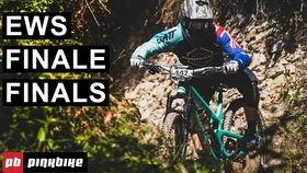 原声吃瓜,揭秘娱乐圈幕后真相