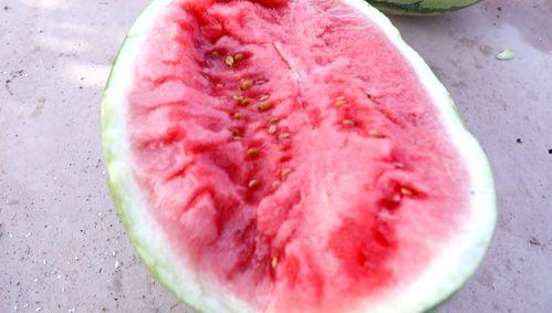 吃瓜吃风,揭秘娱乐圈的幕后风云