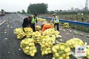 河南喝醉吃瓜,河南夏日里的独特风情