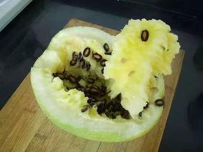 籽瓜怎么吃最甜,解锁最佳口感秘诀