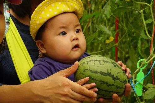 恶心吃瓜群,网络社交的另类现象解析