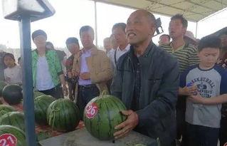 高级气场吃瓜群众,吃瓜群众眼中的明星风云