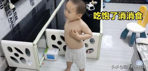 吃瓜人类幼崽,揭秘吃瓜人类幼崽的可爱日常