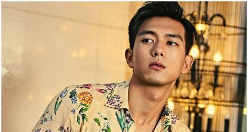 哪个流量明星吃瓜,揭秘背后真相，粉丝心碎不已