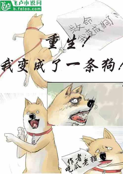 诚实吃瓜小说,揭开诚实吃瓜背后的真相