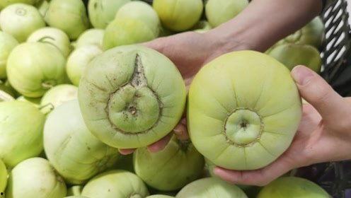 吃瓜内部圈子,内部秘闻大公开