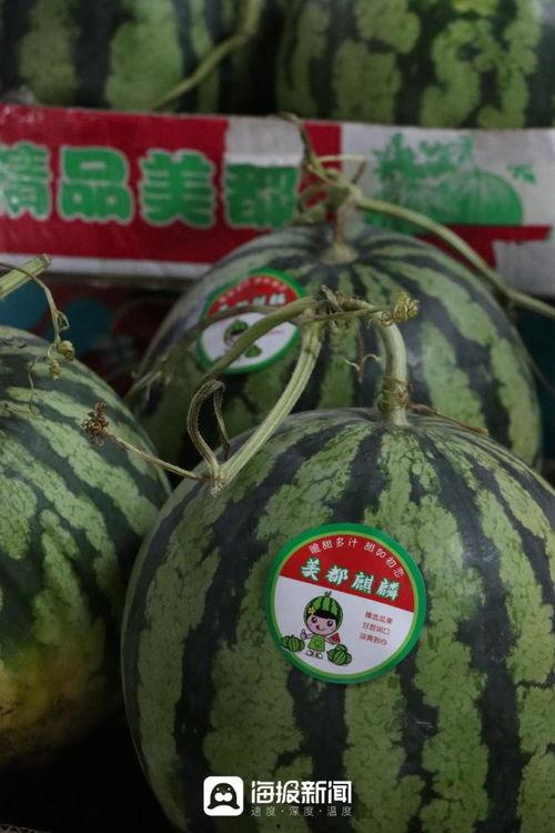 吉一吃瓜,揭秘娱乐圈背后的那些事儿