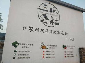 合肥华英专升本吃瓜,吃瓜群众眼中的真实内幕