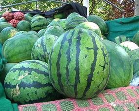 吃的瓜都有什么瓜,盘点那些令人垂涎欲滴的瓜类美食