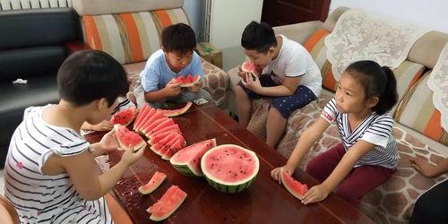 家庭吃瓜大赛,一场别开生面的吃瓜大赛盛况