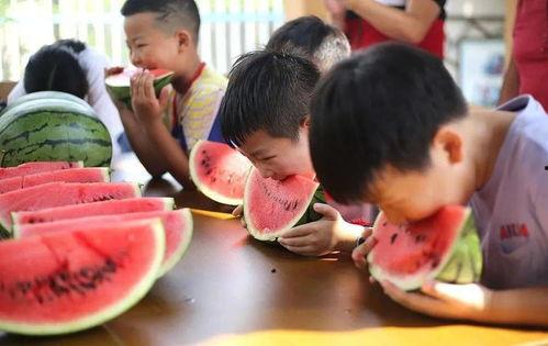 家庭吃瓜大赛,一场别开生面的吃瓜大赛盛况