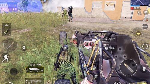 和平旁吃瓜,闲坐旁吃瓜，共享邻里和谐时光