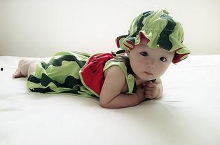 小萌瓜怎么吃,探索美味新吃法