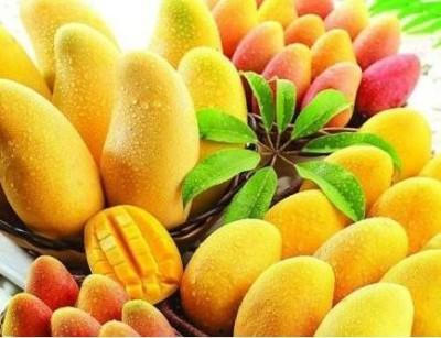 香蕉葫芦瓜怎么吃,香蕉葫芦瓜的创意食用方法探索