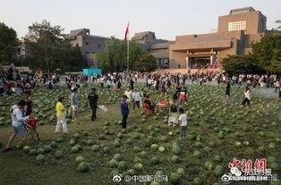 吃瓜群众惠州,吃瓜群众眼中的魅力之城