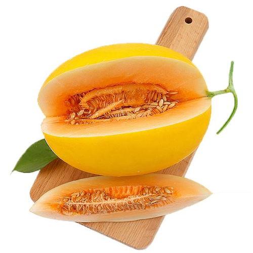 吃蜜瓜伴奏,蜜瓜旋律下的夏日风情