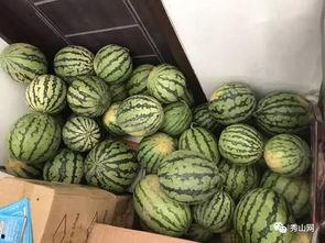 阳谷吃瓜群,揭秘民间热点事件的“舆论风向标”