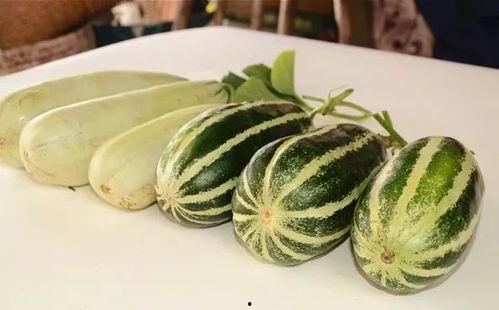 射阳网红吃瓜事件,揭秘网络舆论背后的真相与争议