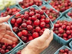 澳大利亚吃瓜,瓜果飘香，品味异国风情