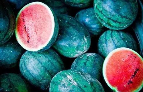 澳大利亚吃瓜,瓜果飘香，品味异国风情