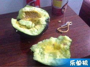 吃老头瓜,揭秘吃老头瓜的独特风味