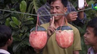 海外人吃瓜视频