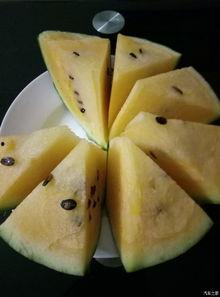 西安吃瓜论坛,揭秘本地美食圈的热辣话题与趣味故事