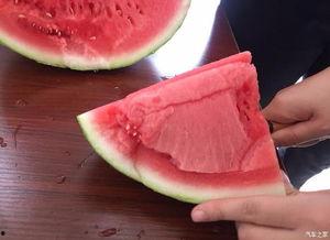 西安吃瓜论坛,揭秘本地美食圈的热辣话题与趣味故事