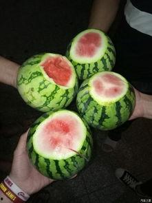 西安吃瓜论坛,揭秘本地美食圈的热辣话题与趣味故事