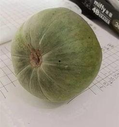 吃瓜心思,吃瓜群众的心思解析