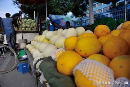 饭后可以吃黄河蜜瓜吗,饭后食用黄河蜜瓜的适宜性探讨