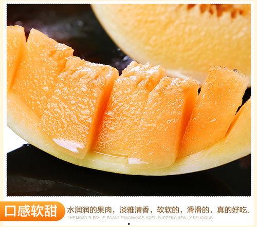 饭后可以吃黄河蜜瓜吗,饭后食用黄河蜜瓜的适宜性探讨