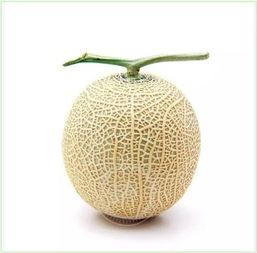 热植商家吃瓜头像,揭秘网络红人的神秘面纱