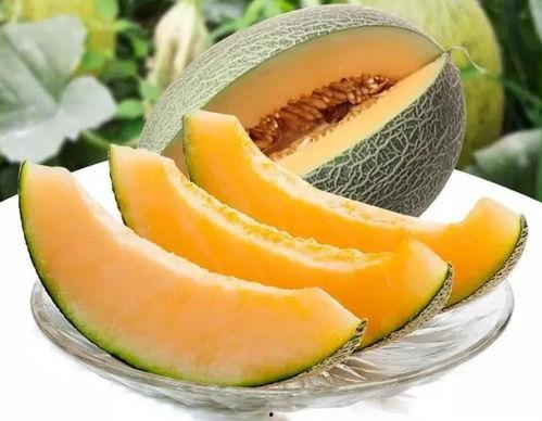 瓜州吃瓜是在哪吃