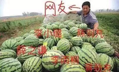 三三吃瓜爆料,揭秘娱乐圈幕后真相