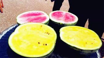 三三吃瓜爆料,揭秘娱乐圈幕后真相