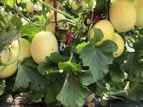 周末例行吃瓜,盘点娱乐圈新鲜事