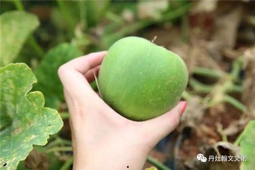 梨瓜不甜怎么吃