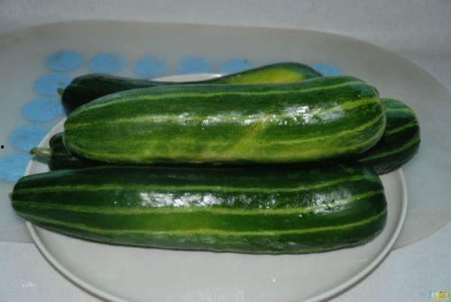 吃块瓜解渴图片,一瓜解千渴——探寻吃瓜解渴的神奇魅力