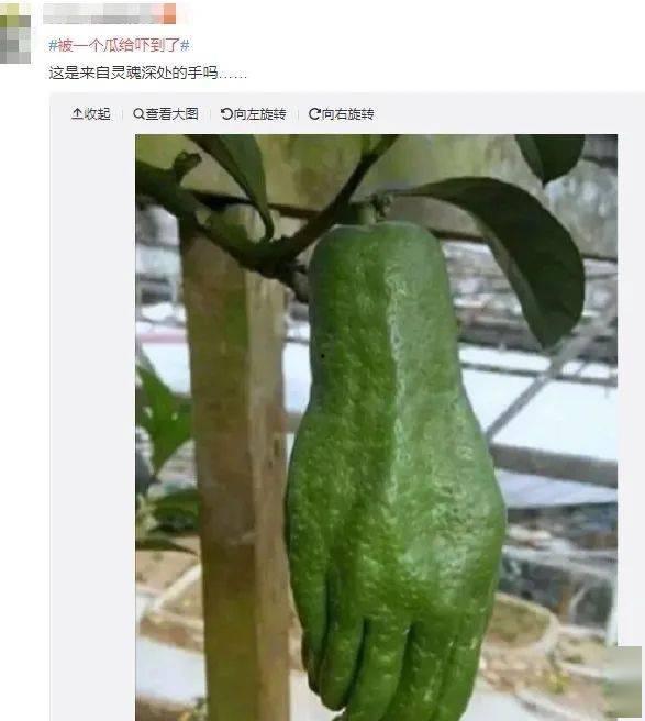 吃瓜一族,吃瓜一族带你领略明星幕后故事