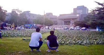 盱眙吃瓜事件,一场引发全民热议的网络狂欢