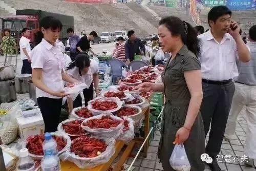 盱眙吃瓜事件,一场引发全民热议的网络狂欢